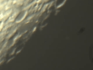 Apparition de Saturne derrière la Lune. © P. Henarejos/M. Montargès
